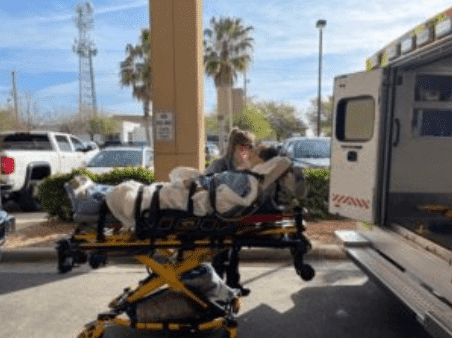 Screenshot 2024-04-10 at 11.58.45 AM